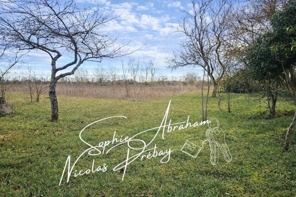 Maison à rénover avec grange attenante et grand terrain