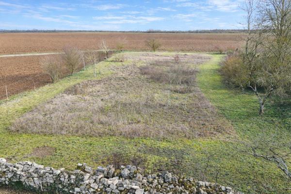 Maison à rénover avec grange attenante et grand terrain