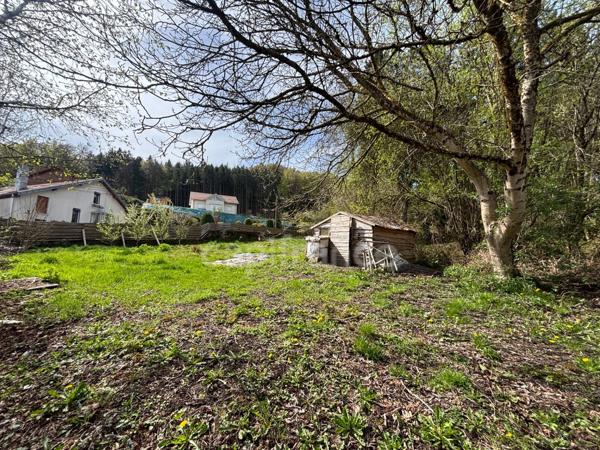 Ancien moulin vosgien du XVIIe siècle – 172 m² habitables – Fort potentiel – Cadre naturel exceptionnel - Herpelmont (88600)