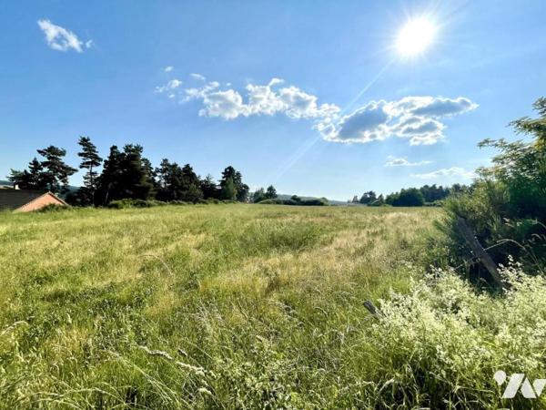 TERRAIN A BATIR A VENDRE A LASBROS