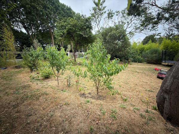 Terrain Rare à Lorient – Nouvelle-Ville !