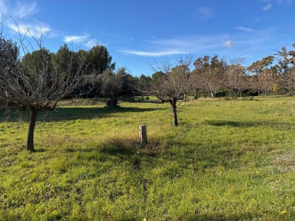 Terrain rare à la vente