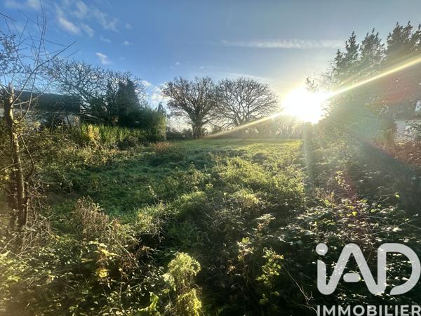 Terrain à vendre 970 m² Picauville