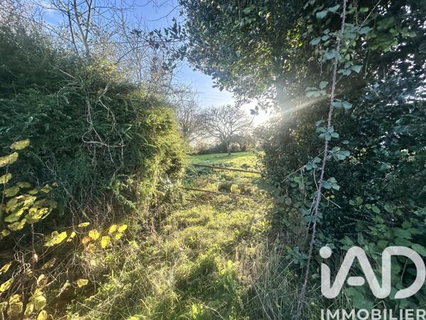 Terrain à vendre 970 m² Picauville