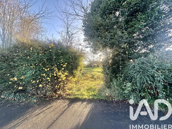 Terrain à vendre 970 m² Picauville