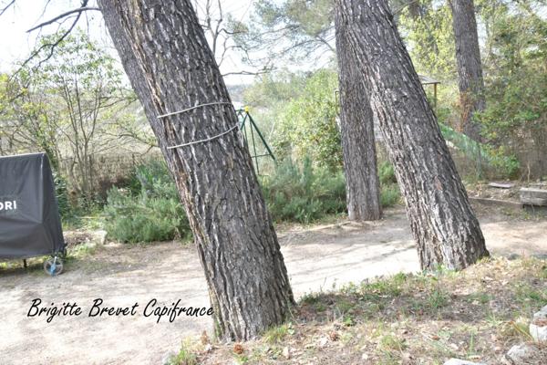 Maison de caractère à vendre 5 pièces FUVEAU (13)