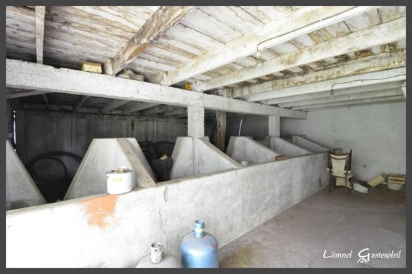 Maison avec dépendances à rénover à vendre 5 pièces 2 chambres à SAINT PIERRE D'EYRAUD en Dordogne (24)