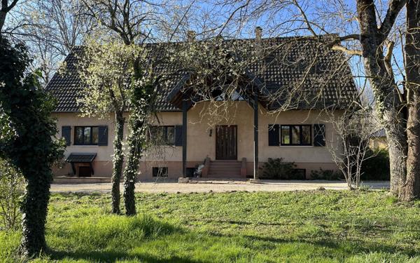 Maison à vendre    11 pièces •  Wattwiller