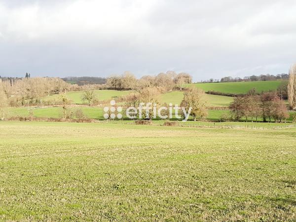 Maison 3 pièces - 54 m²