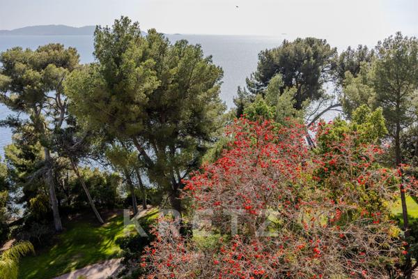 Appartement de luxe sur l'eau