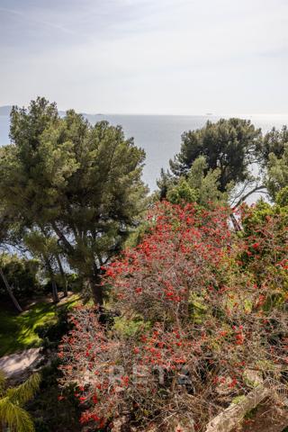 Appartement de luxe sur l'eau