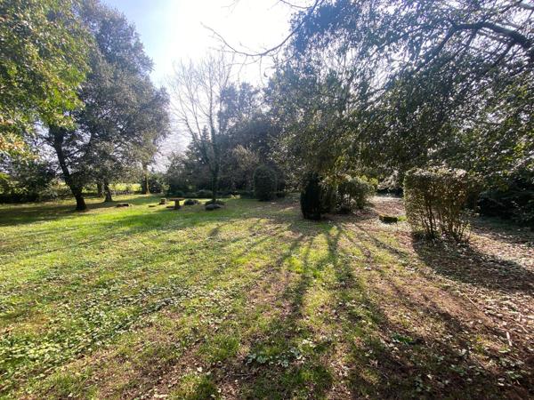 JONZAC : Ensemble immobilier avec 2 maisons, dépendances et parc
