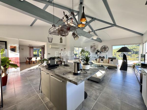 Carqueiranne (83320) Villa aux grandes dimensions avec piscine dans un environnement verdoyant