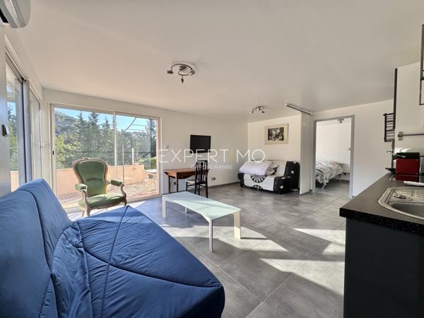 Carqueiranne (83320) Villa aux grandes dimensions avec piscine dans un environnement verdoyant