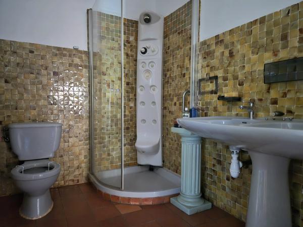 Maison 8 pièces - 316 m² Bien prestige