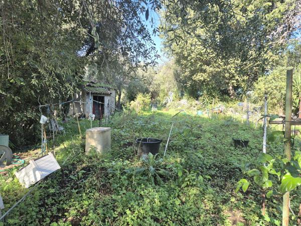 Maison 8 pièces - 316 m² Bien prestige