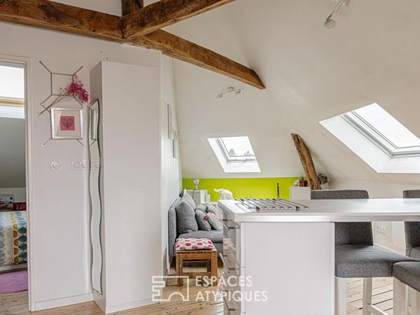 Appartement cocooning sous les toits