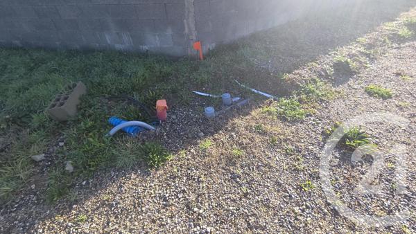 Terrain à vendre  1629 m2 GRISOLLES - 82