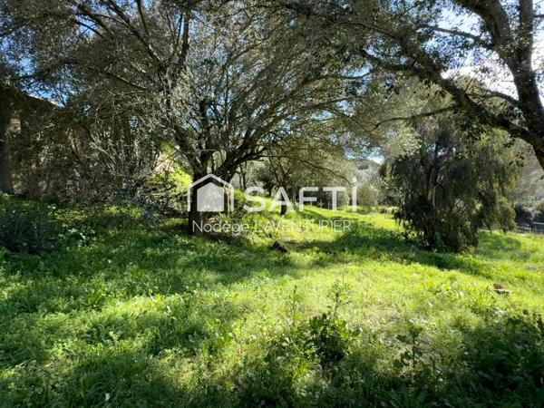 Terrain constructible à Alata – proche Ajaccio