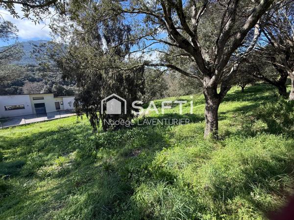 Terrain constructible à Alata – proche Ajaccio
