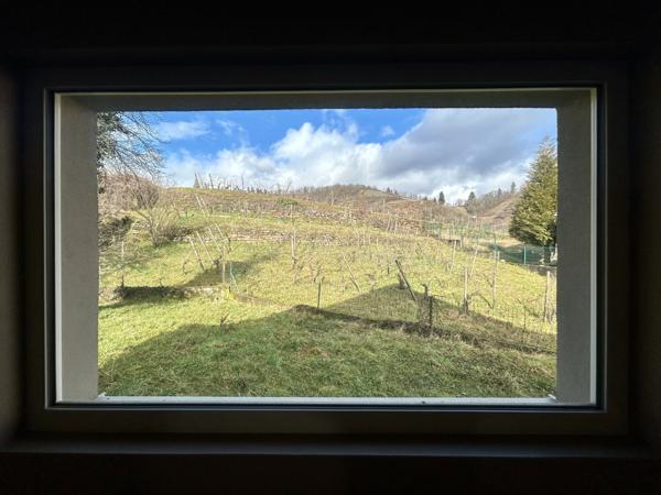 Niedermorschwihr (68230) Maison 6P, 165m2, terrain 15A, piscinable, garage, Niedermorschwihr, Vignoble.