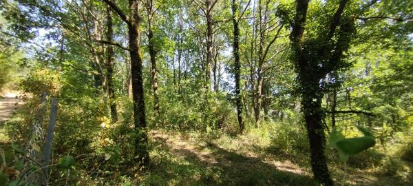 PARCELLE DE TERRAIN CONSTRUCTIBLE D'ENVIRON 2000 m²