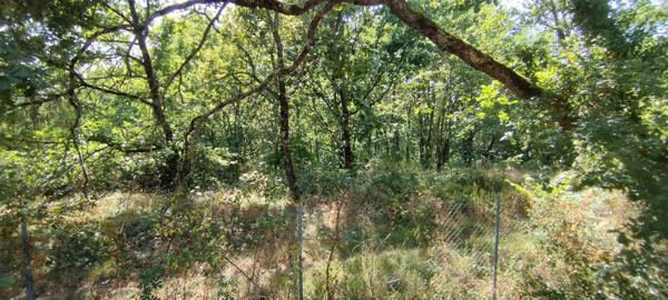 PARCELLE DE TERRAIN CONSTRUCTIBLE D'ENVIRON 2000 m²