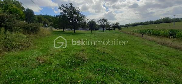 Terrain de 1 100 m²