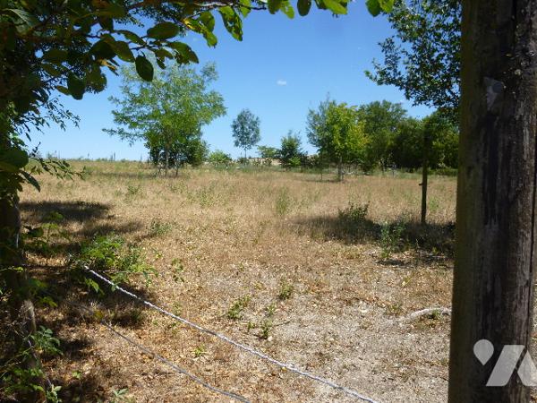A SAINT LOUP DES BOIS (58200),