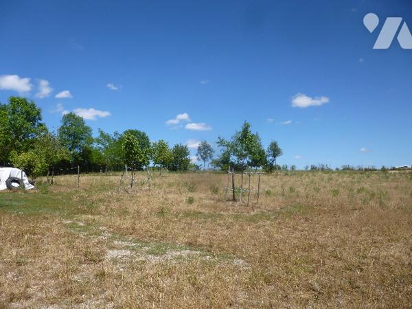 A SAINT LOUP DES BOIS (58200),