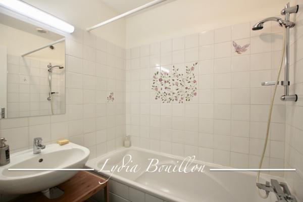 Mâcon (71000) Immeuble idéal location saisonnière