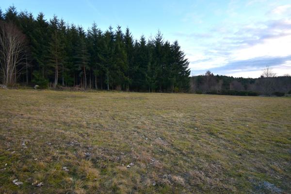 Terrain à vendre SAINT JEAN ROURE (07)