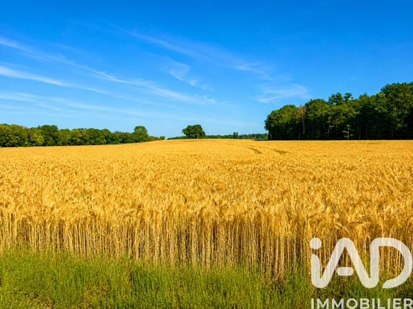 Maison à vendre 6 pièces 141 m² Conflans-sur-Loing