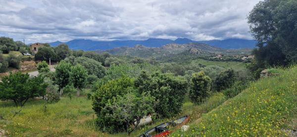 Dpt Corse (20), à vendre CASTA maison de 167m² sur 5600m² avec piscine 6X12