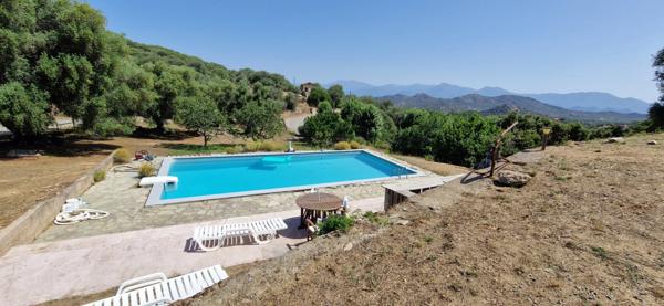 Dpt Corse (20), à vendre CASTA maison de 167m² sur 5600m² avec piscine 6X12