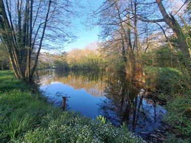 Terrain de loisirs - Bois - Etang à vendre à Craon en Mayenne (53400), ref : 076/2707-MOR