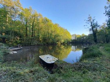 Terrain de loisirs - Bois - Etang à vendre à Craon en Mayenne (53400), ref : 076/2707-MOR