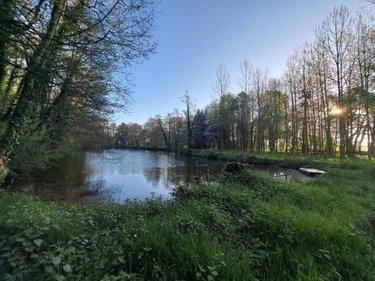 Terrain de loisirs - Bois - Etang à vendre à Craon en Mayenne (53400), ref : 076/2707-MOR