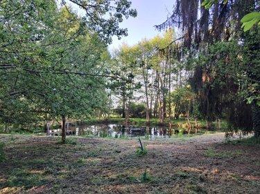 Terrain de loisirs - Bois - Etang à vendre à Craon en Mayenne (53400), ref : 076/2707-MOR