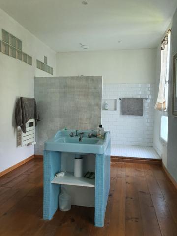 MAISON D'ARTISTES À VENDRE AU SUD DE SAINT AIGNAN