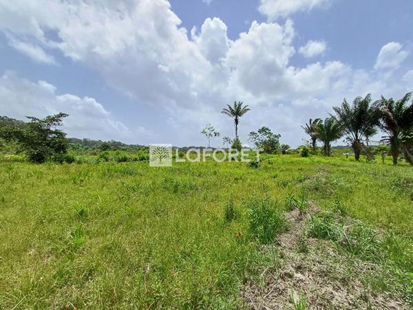 Achat terrain Montsinéry-Tonnegrande - 18469 m² - 174 000 €