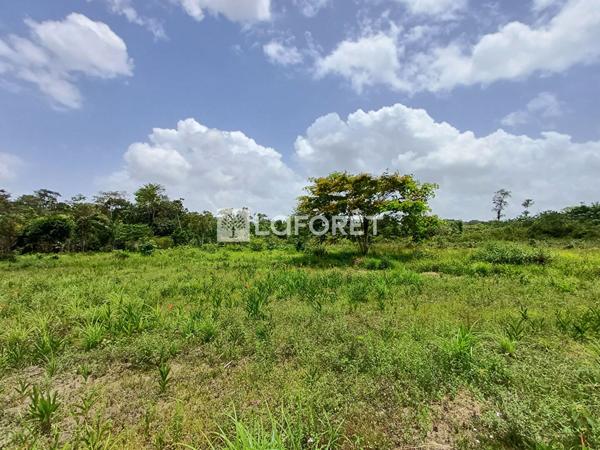 Achat terrain Montsinéry-Tonnegrande - 18469 m² - 174 000 €