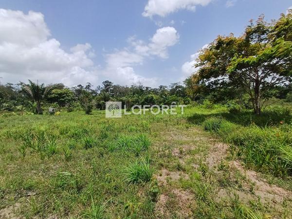 Achat terrain Montsinéry-Tonnegrande - 18469 m² - 174 000 €