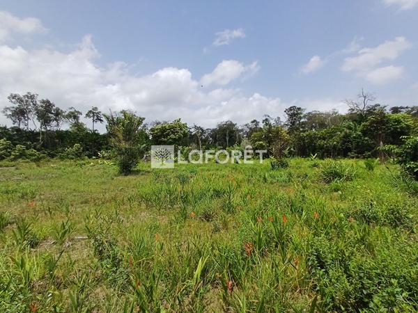 Achat terrain Montsinéry-Tonnegrande - 18469 m² - 174 000 €