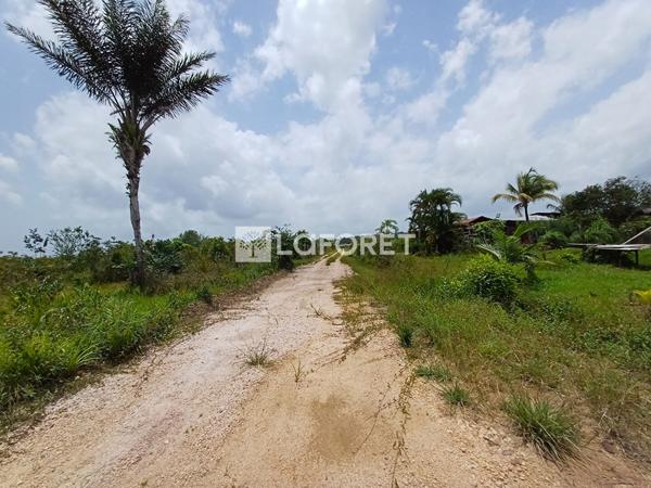 Achat terrain Montsinéry-Tonnegrande - 18469 m² - 174 000 €