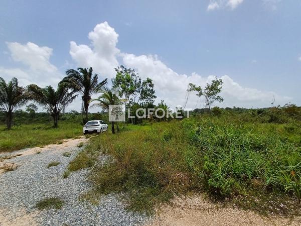 Achat terrain Montsinéry-Tonnegrande - 18469 m² - 174 000 €