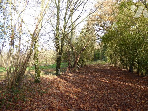 MAISON DE CAMPAGNE A RÉNOVER - CERIZAY