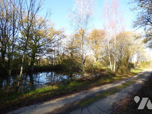 MAISON DE CAMPAGNE A RÉNOVER - CERIZAY
