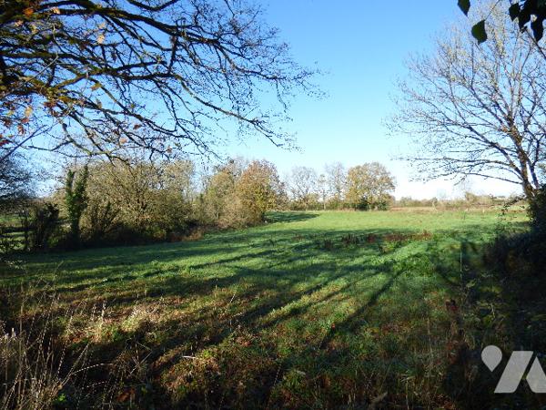 MAISON DE CAMPAGNE A RÉNOVER - CERIZAY