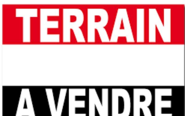 Terrain à vendre    La Flotte